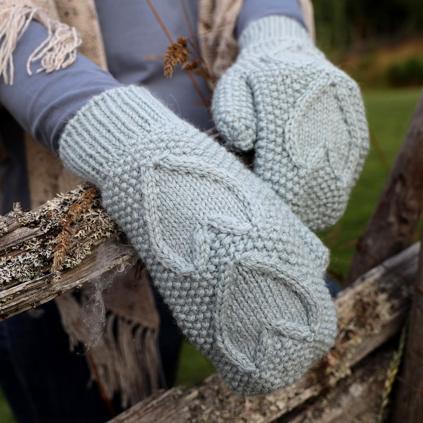 Hjerteklemvottene (norsk)